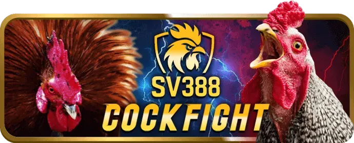 Biểu tượng email hỗ trợ w33win casino